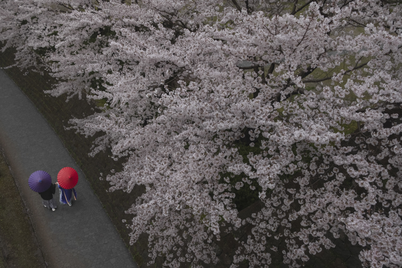 お二人と一緒になって楽しむことをモットーに