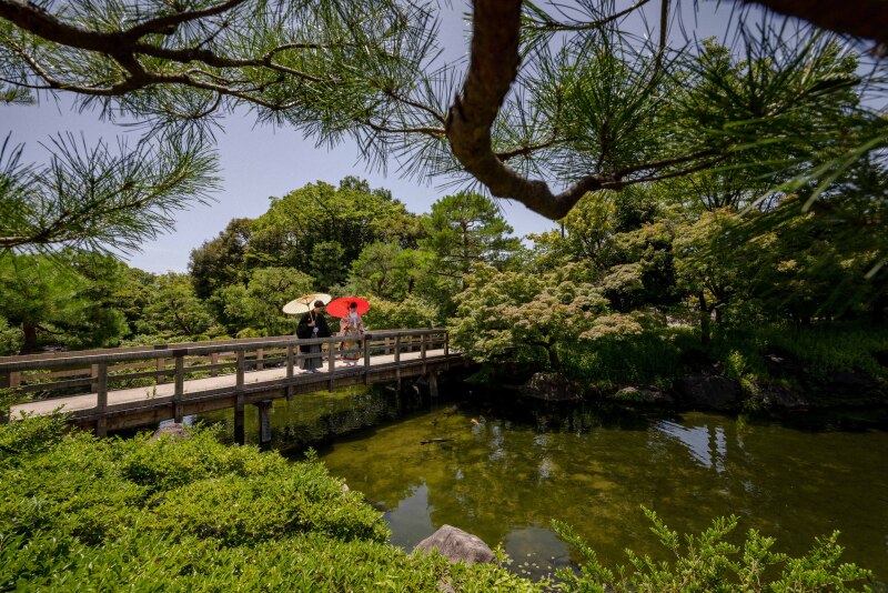 1組限定!人気のため先着予約が必須!【和装】白鳥庭園ロケーションフォトプラン■《和装1着無料付き》