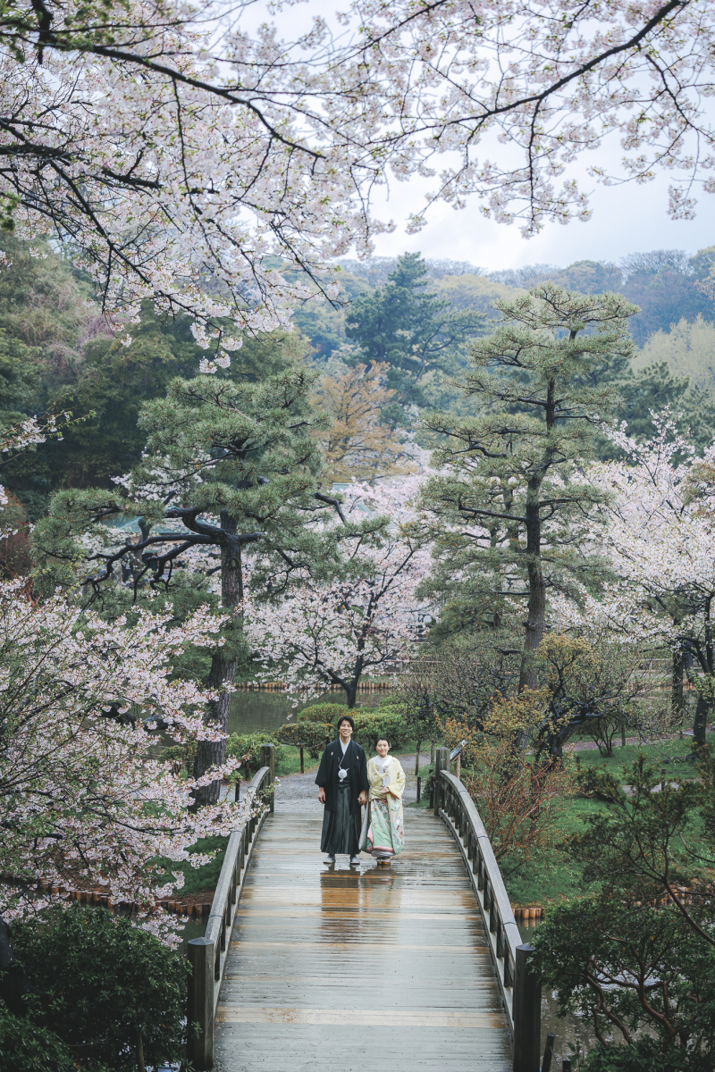 桜のトンネルを歩こう