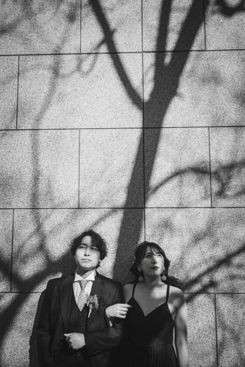 【木漏れ日の魔法】影のラインが描くアートな世界