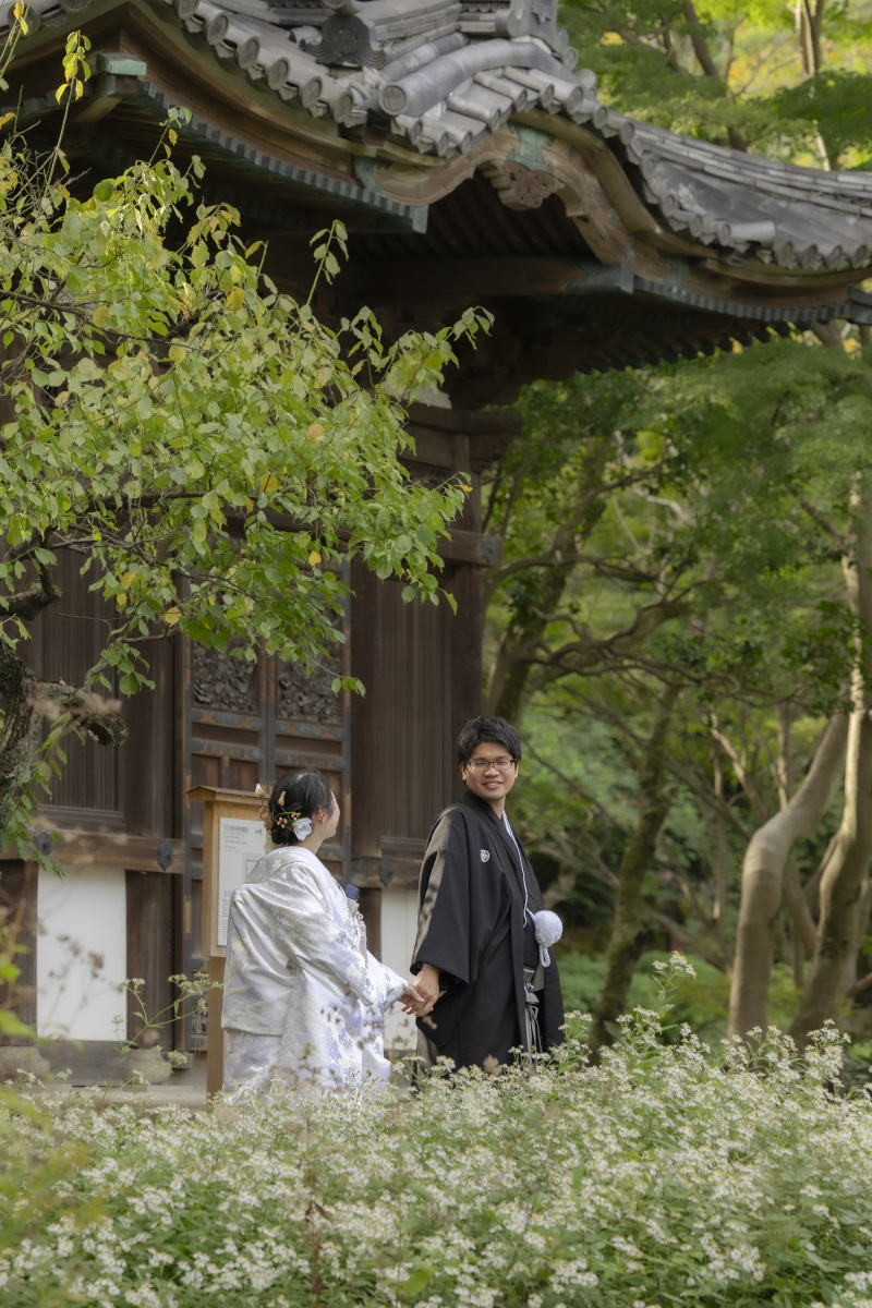 季節のお花を写して