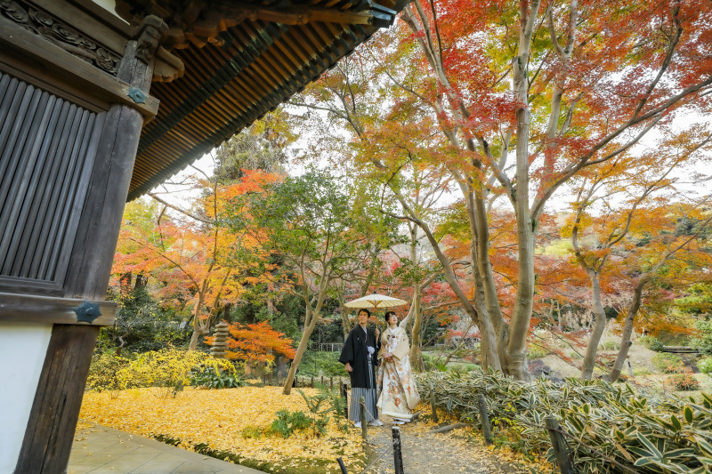 グラデーション2