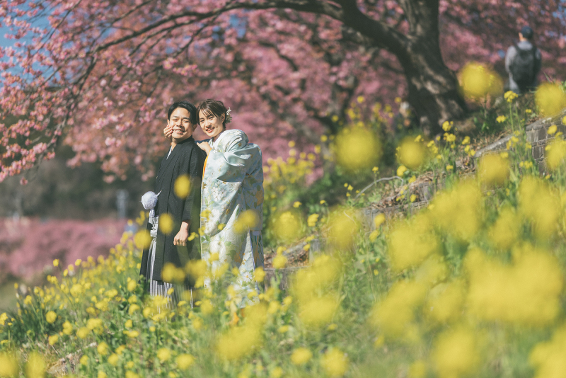 菜の花に包まれて