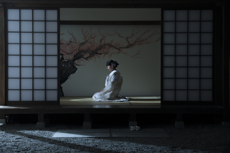 他にないお写真