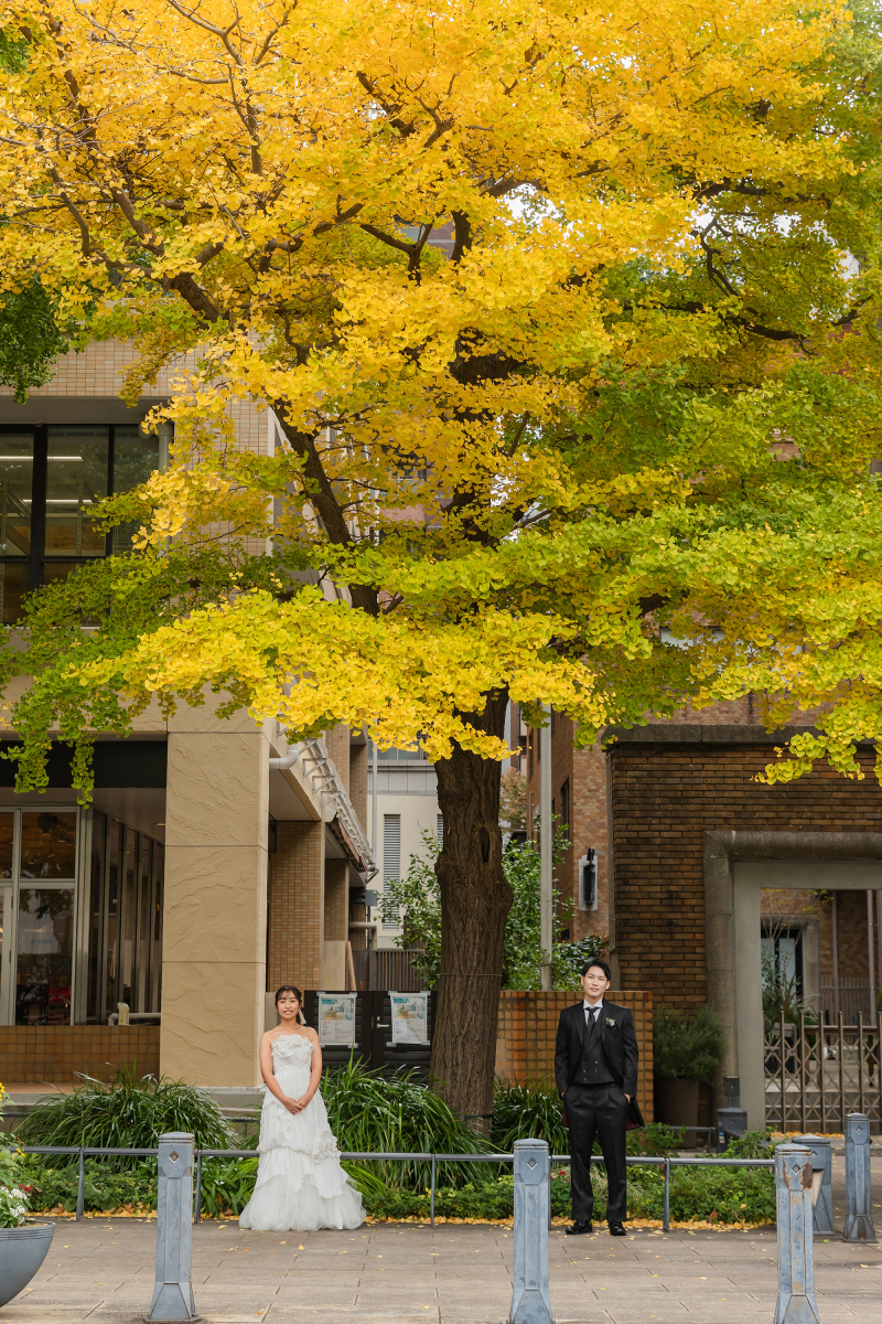 グラデーション