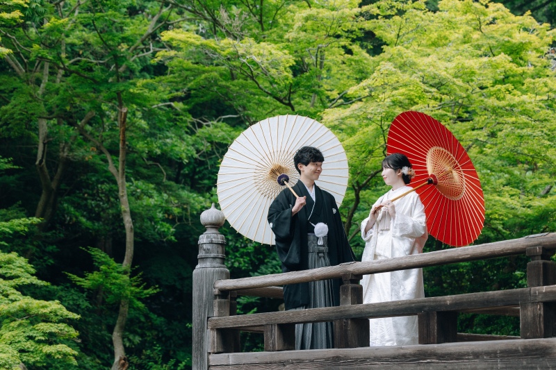 緑に白と赤の和傘で