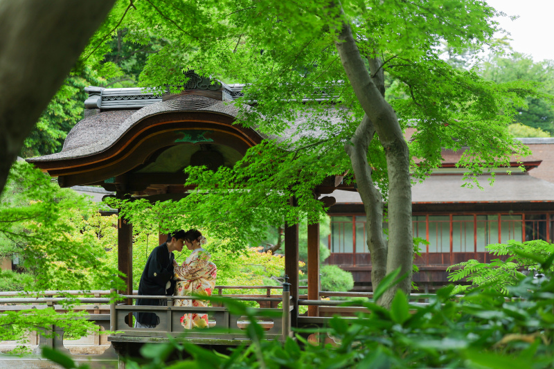 新緑の屋根の下、永遠の誓いを
