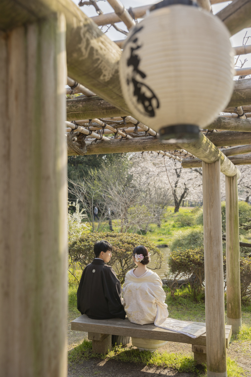 藤棚の下の特等席