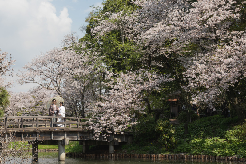 満開の桜に囲まれて♪