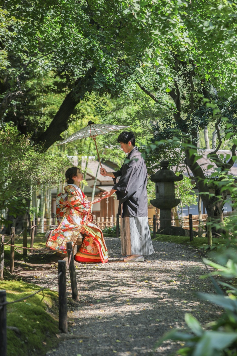 木漏れ日の森で