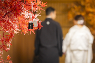 秋と一緒に屋内庭園スタジオ