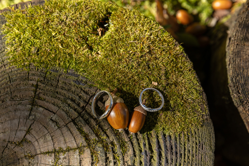 どんぐりころころ