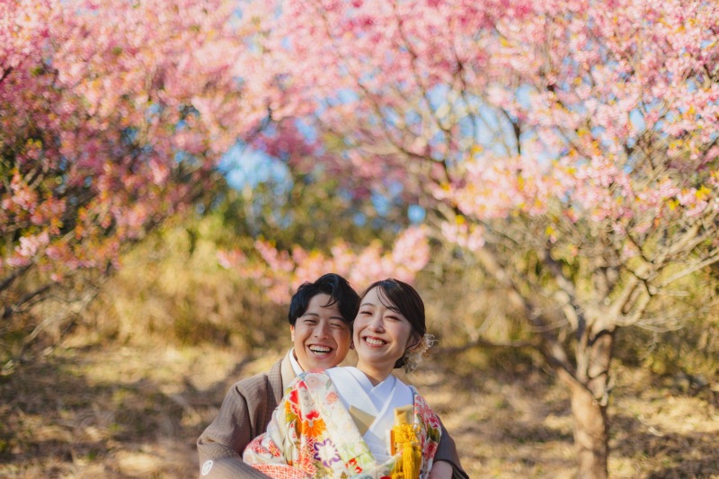 桜のピンクと空の青