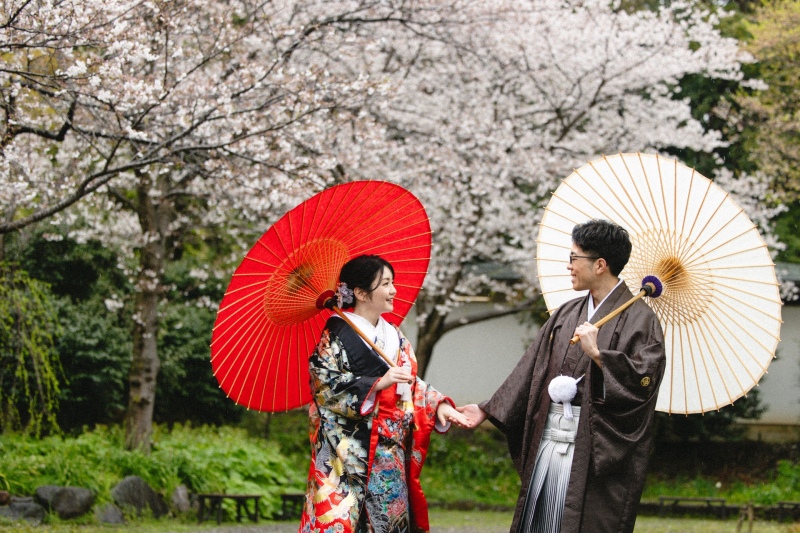 小雨の中の和傘