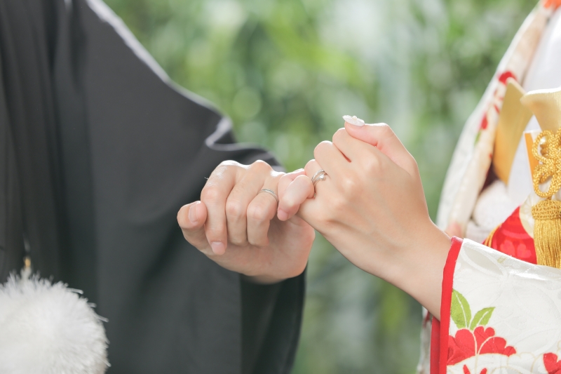 屋内庭園スタジオ6