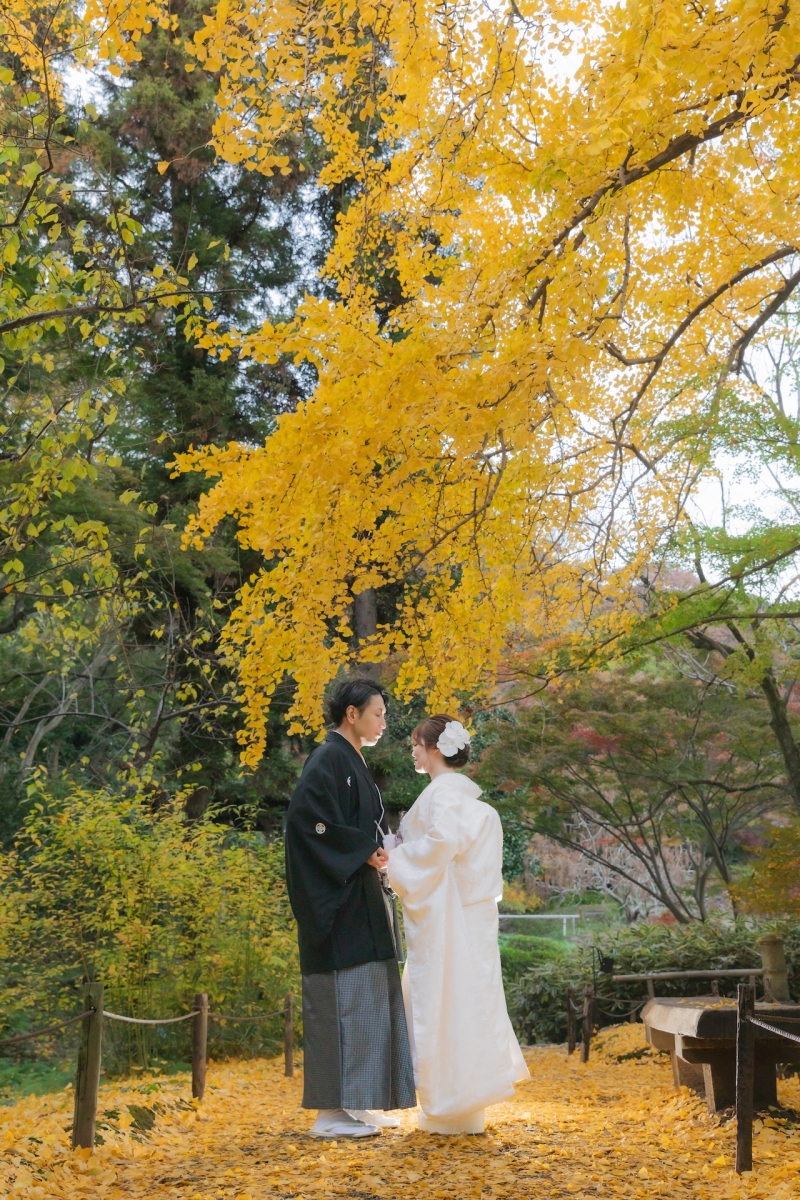 締めはイチョウと