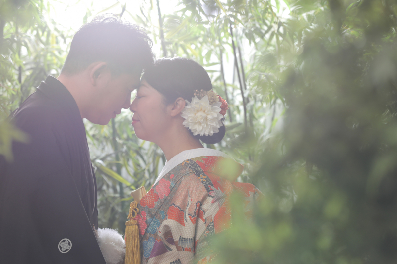 お外のような竹林で