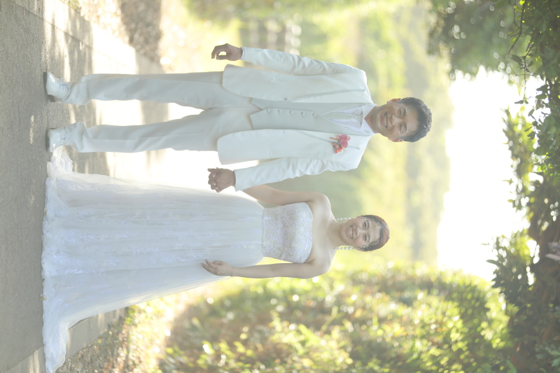 木のトンネルで