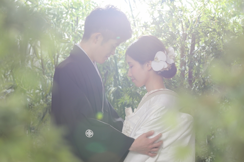 屋内庭園スタジオ6