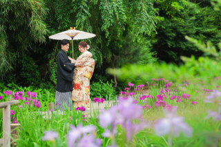 菖蒲の三渓園を歩く　photo by 谷澤明美