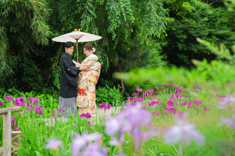 菖蒲の三渓園を歩く　photo by 谷澤明美