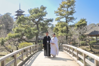 本格的な日本庭園で