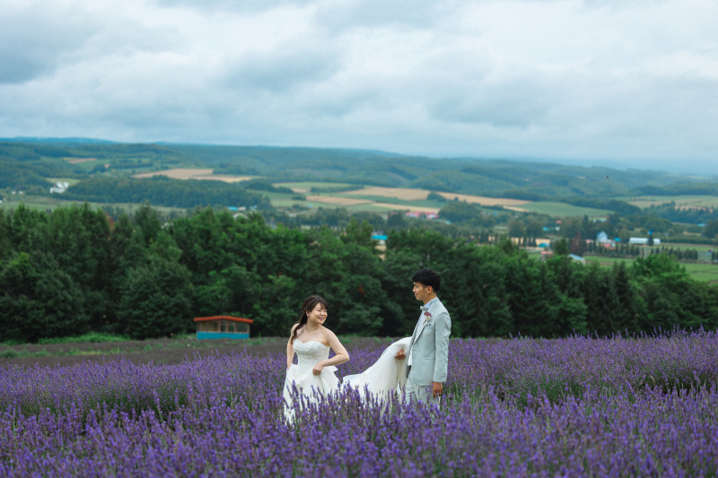紫のお花が一面に！