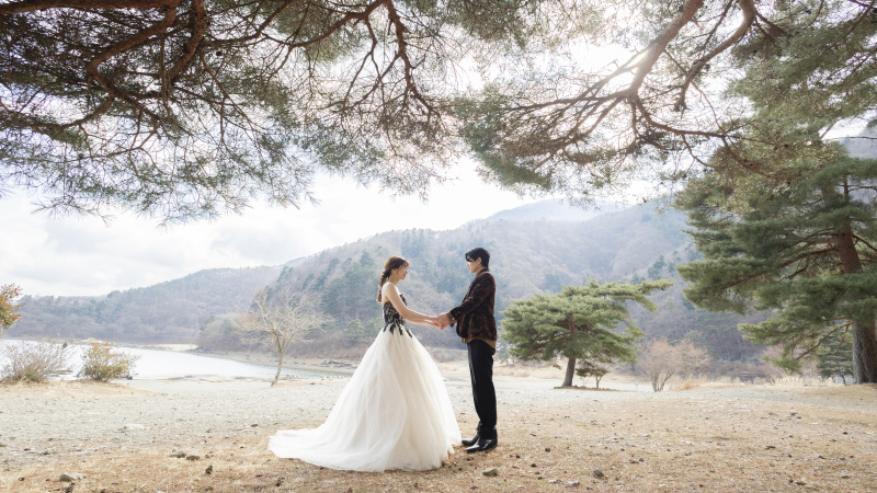 木漏れ日のアーチに包まれて