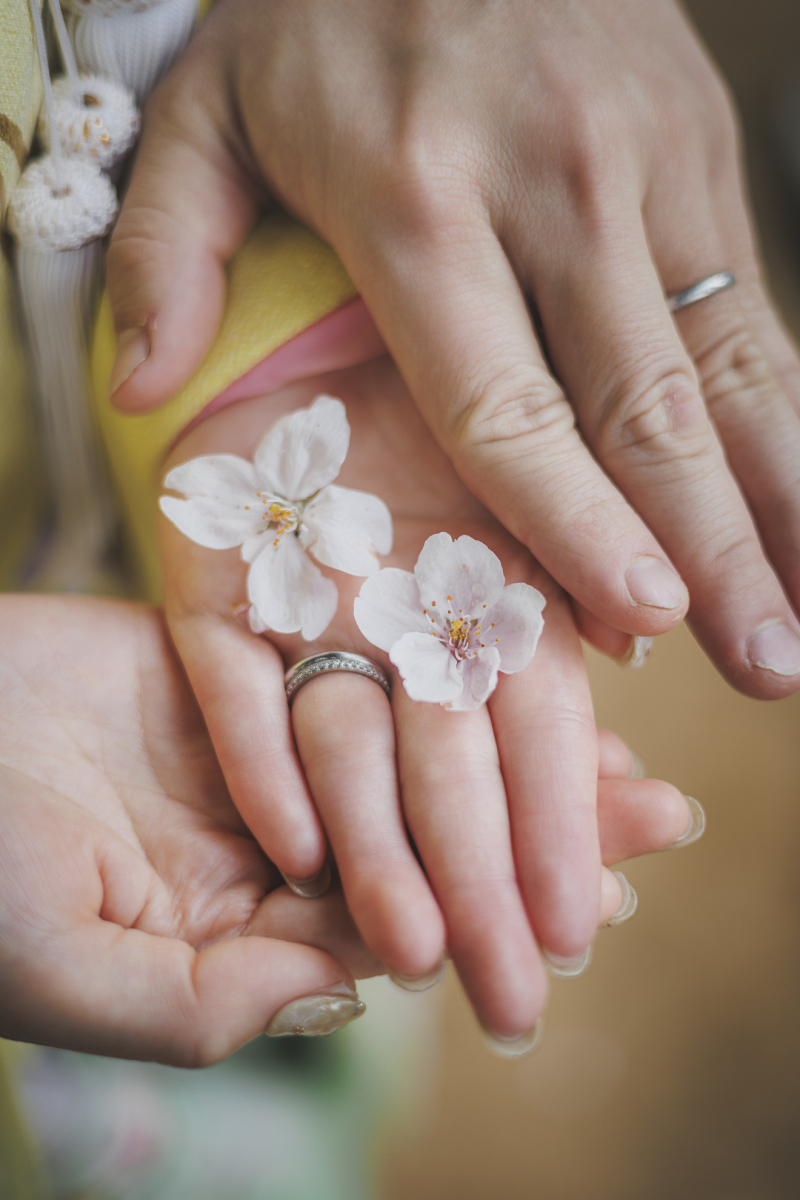 桜の花びらに、指輪を添えて