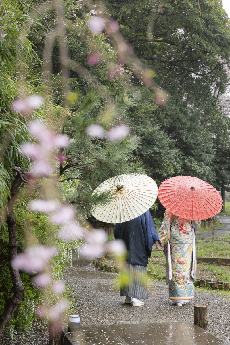 雨の庭園に咲く、色とりどりの番傘