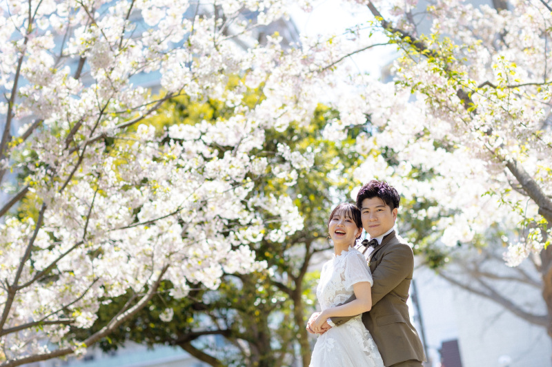 桜に囲まれて