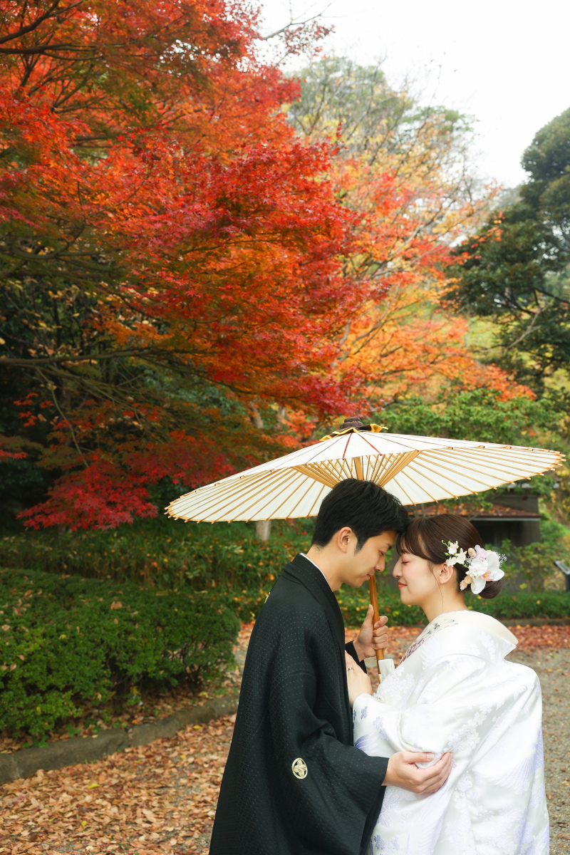 黄金色&times;紅色