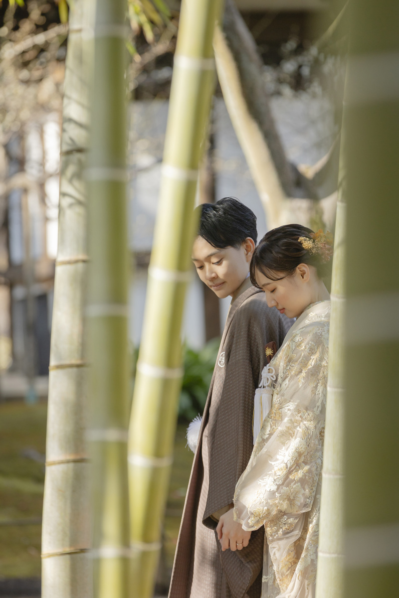 竹林に包まれる、静謐なひととき