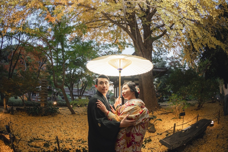 紅葉で黄色い絨毯