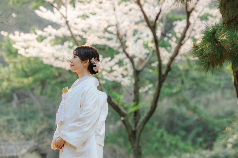 桜と白無垢