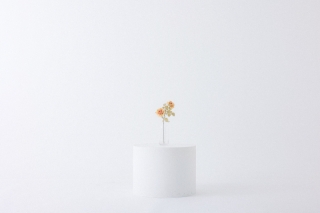 駅前店のスタジオで撮影しませんか？