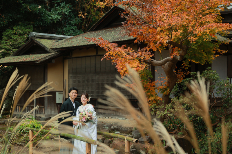 ススキも侘び寂び