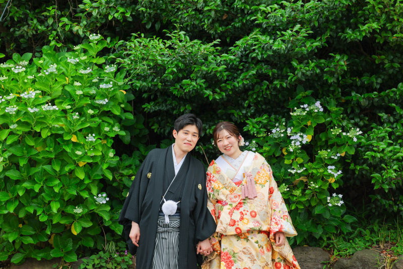 咲き始めの紫陽花と