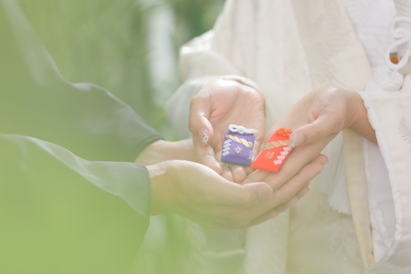 屋内庭園スタジオ