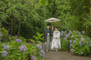 雨の三溪園