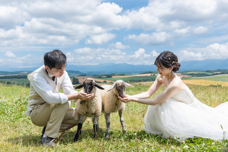 もこもこはこちら!