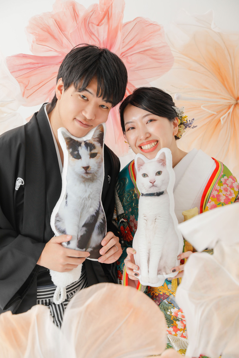 愛猫のぬいぐるみと