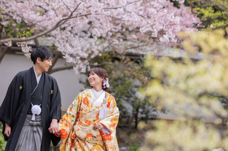 三渓園桜ロケ2023!