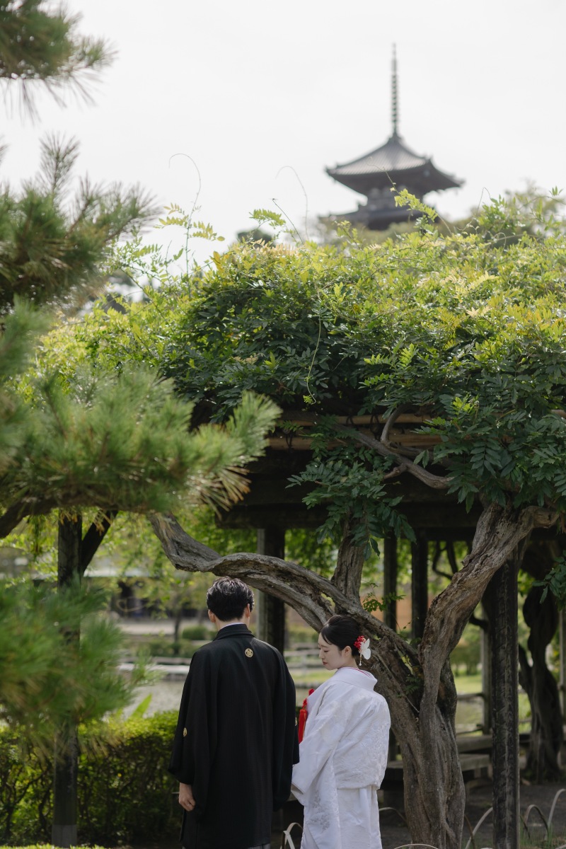 深い緑と、白無垢が綺麗