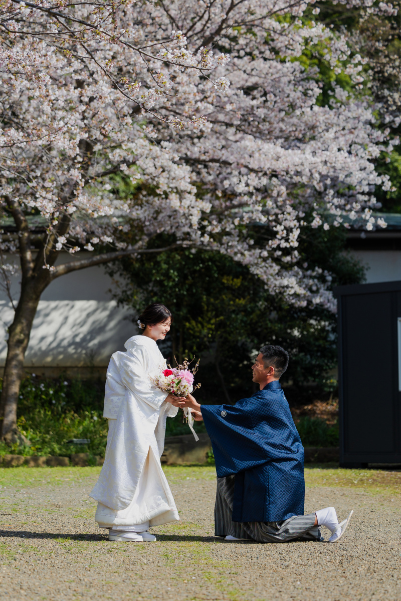 桜の下でのサプライズ