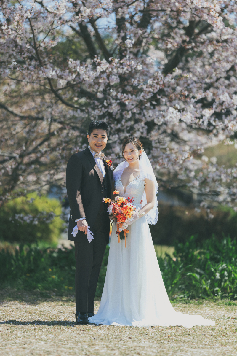 桜満開の場所で