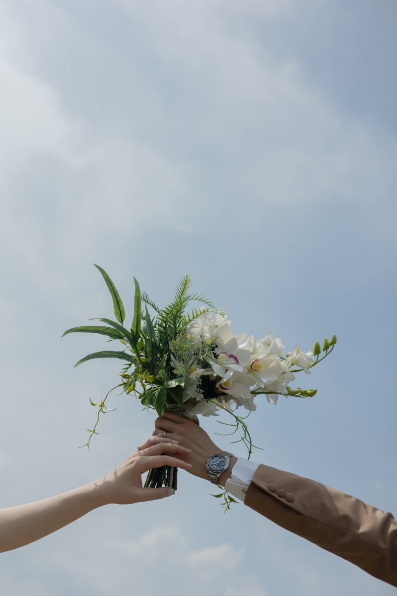 イメージカットも。