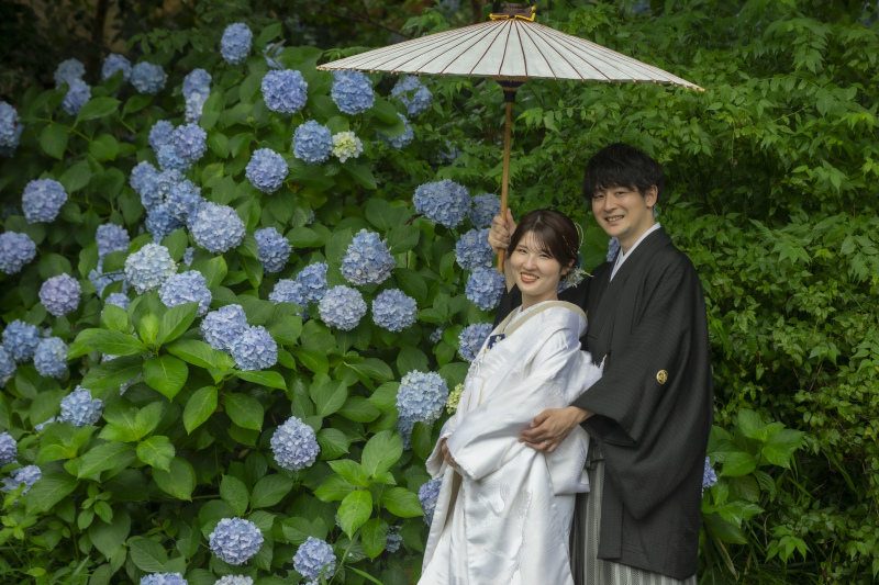紫陽花と