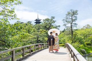 緑癒される三溪園