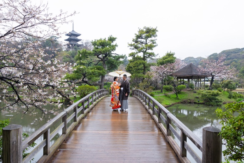 雨の日の三溪園撮影